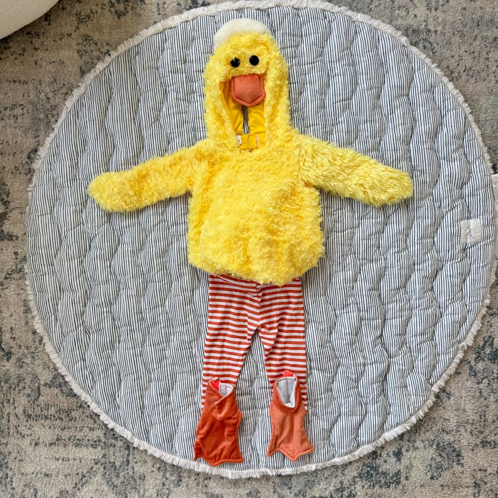 Duck Costume 6-9m